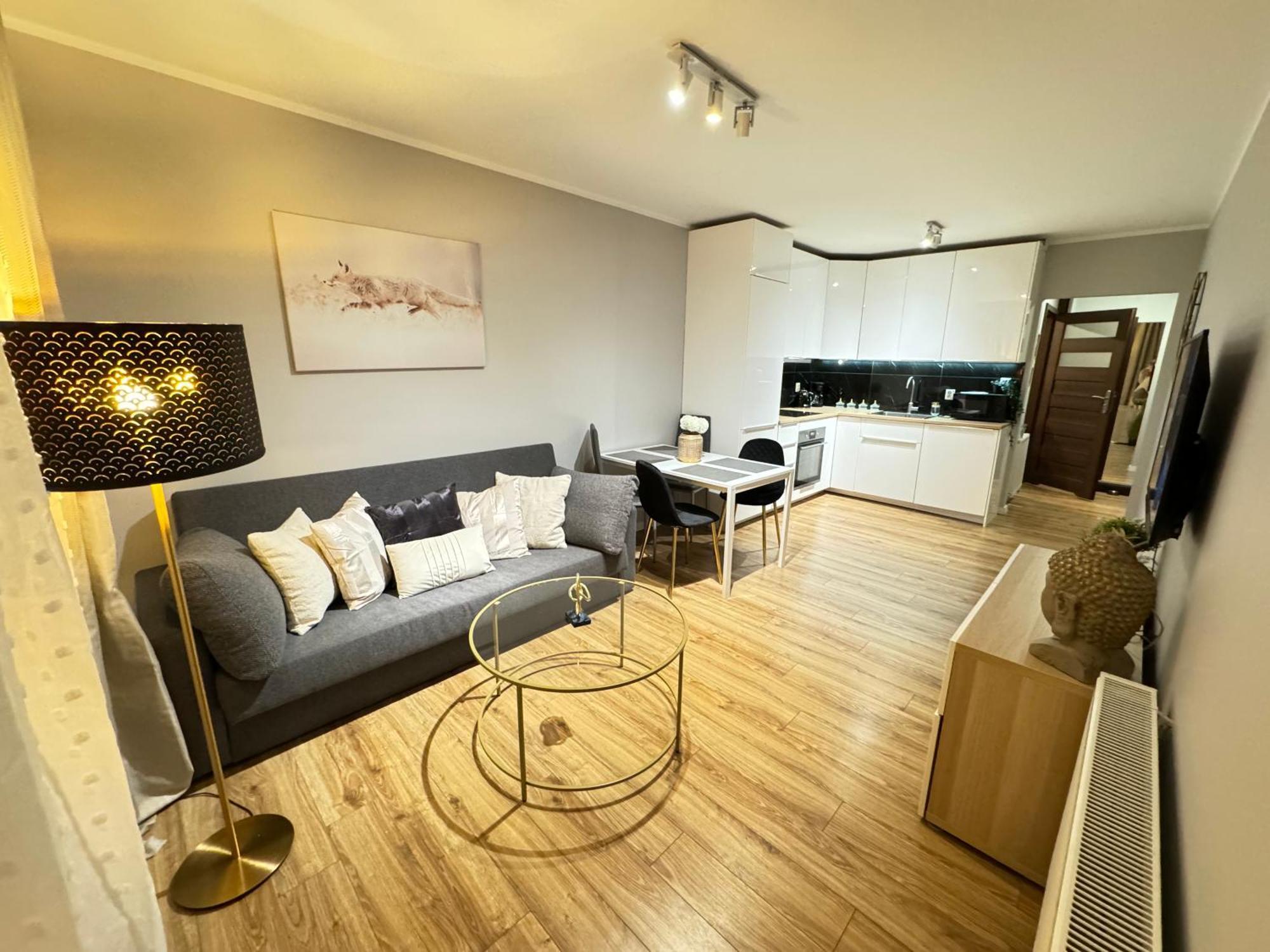 Apartment Good Time Strzelecka B Posen