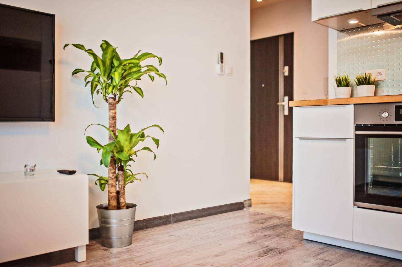 Apartment Good Time Strzelecka B Posen